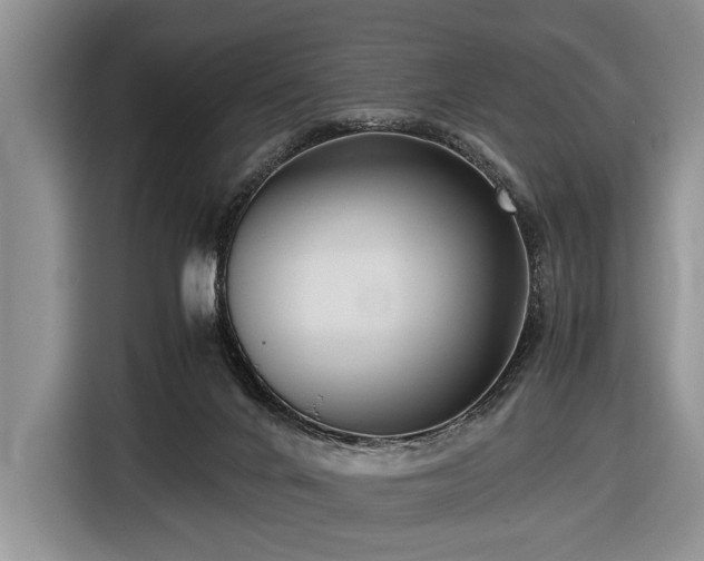 X0000116420024200912151007