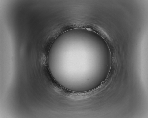 X0000116420025200912151007