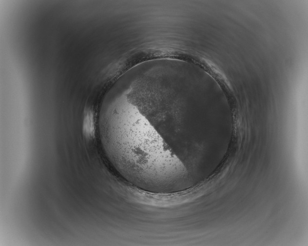 X0000116420026200912151007