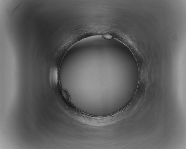 X0000116420027200912151007