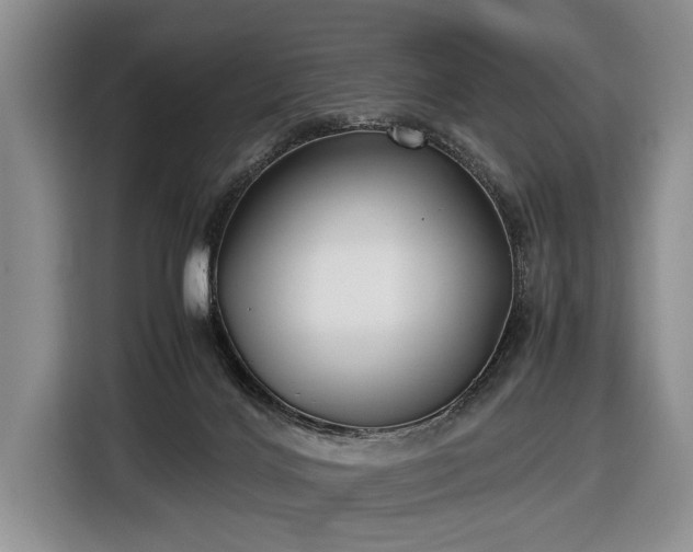 X0000116420028200912151007