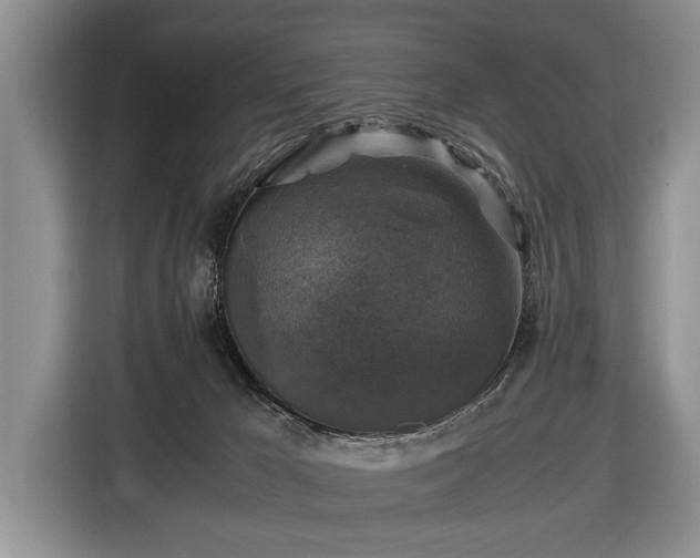 X0000116420029200912151007