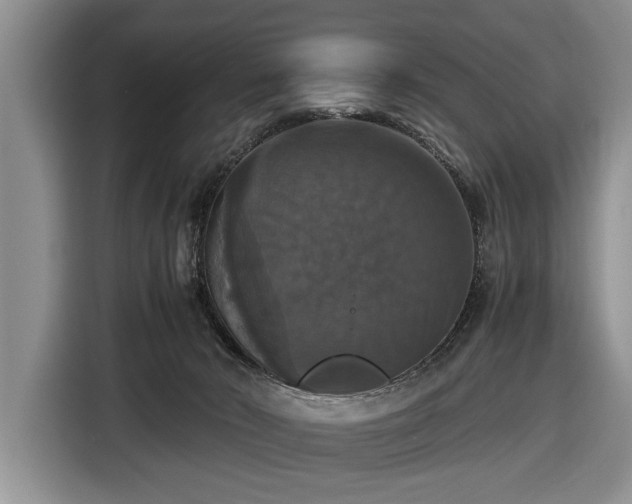 X0000116420030200912151007