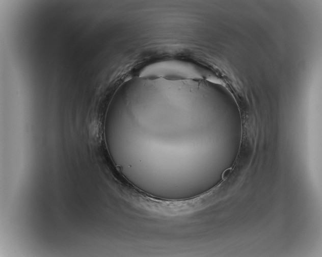 X0000116420031200912151007