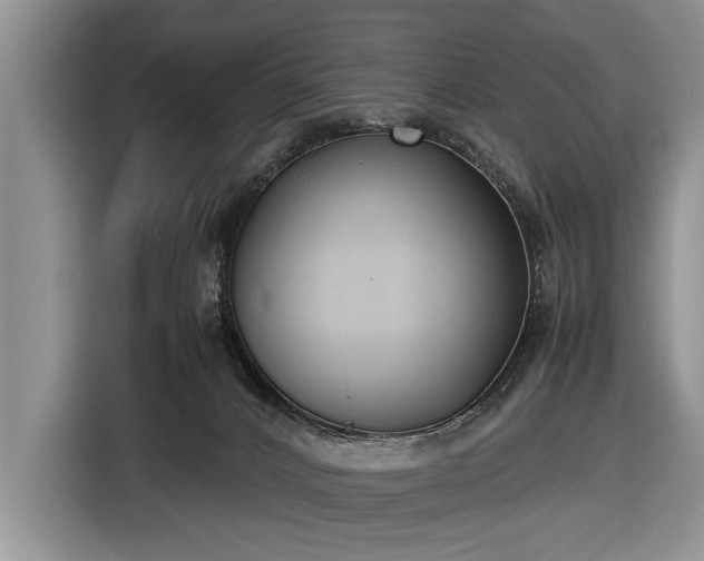 X0000116420032200912151007