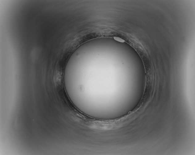 X0000116420033200912151007