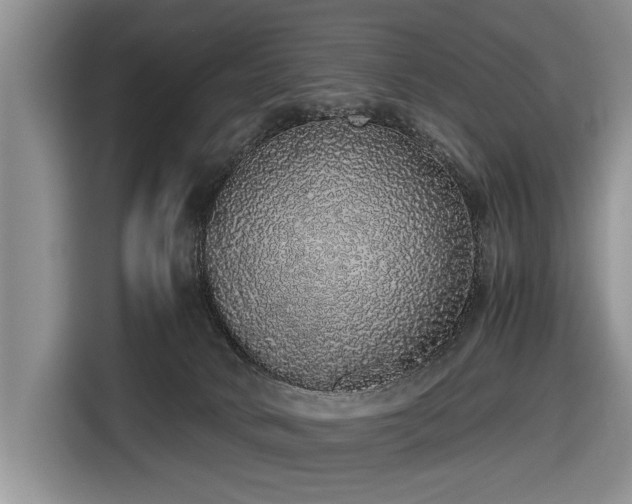 X0000116420034200912151007