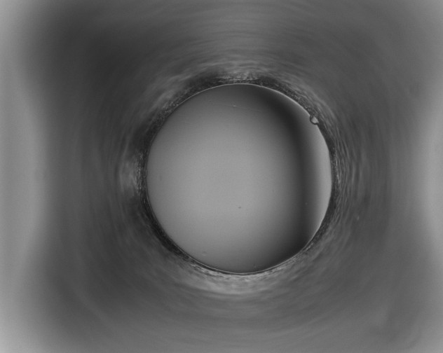 X0000116420035200912151007