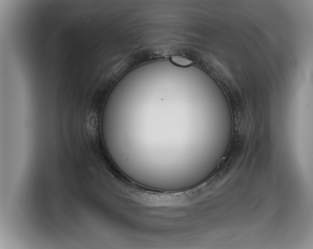 X0000116420036200912151007