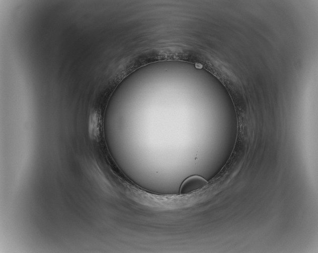 X0000116420038200912151007