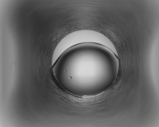 X0000116420039200912151007