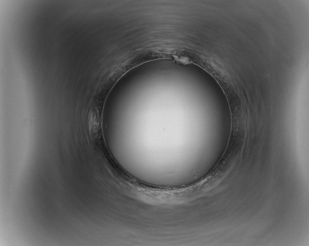 X0000116420040200912151007