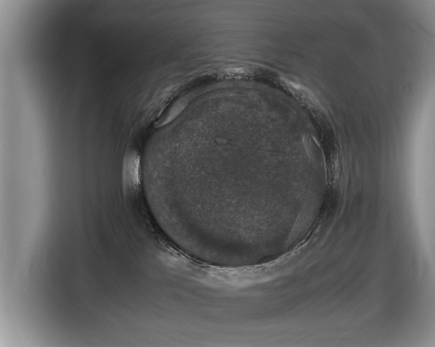 X0000116420041200912151007
