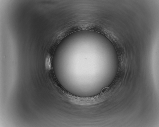 X0000116420042200912151007