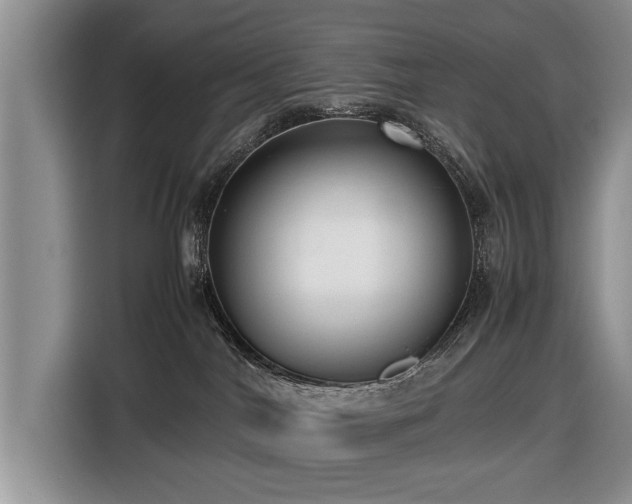 X0000116420044200912151007