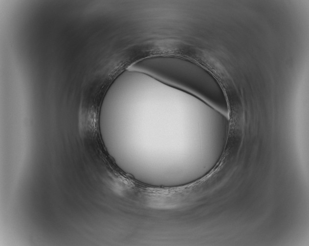 X0000116420045200912151007