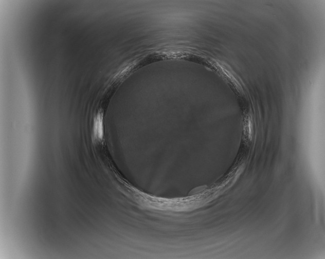 X0000116420046200912151007