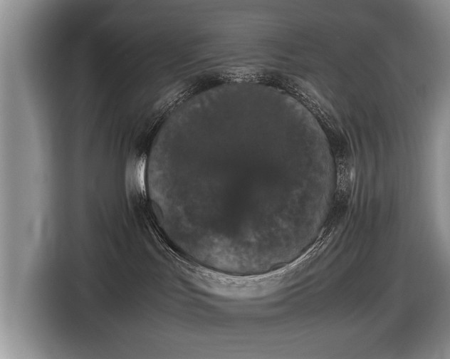 X0000116420047200912151007