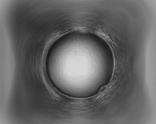 X0000116420049200912151006