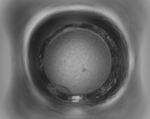 X0000116420050200912151006