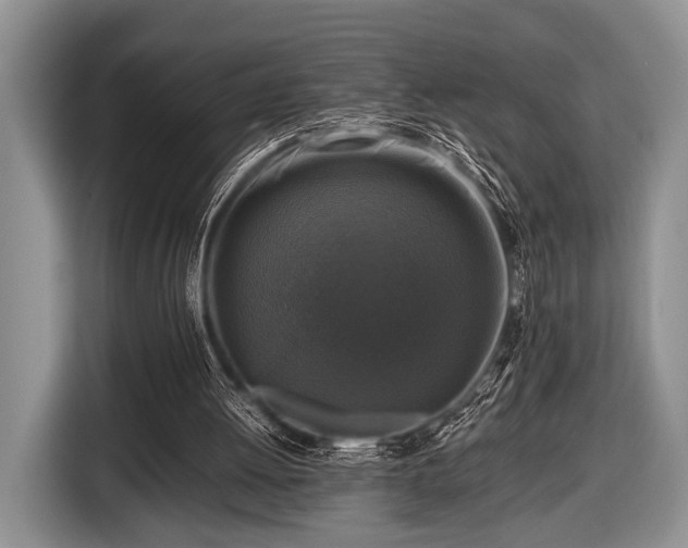 X0000116420052200912151006