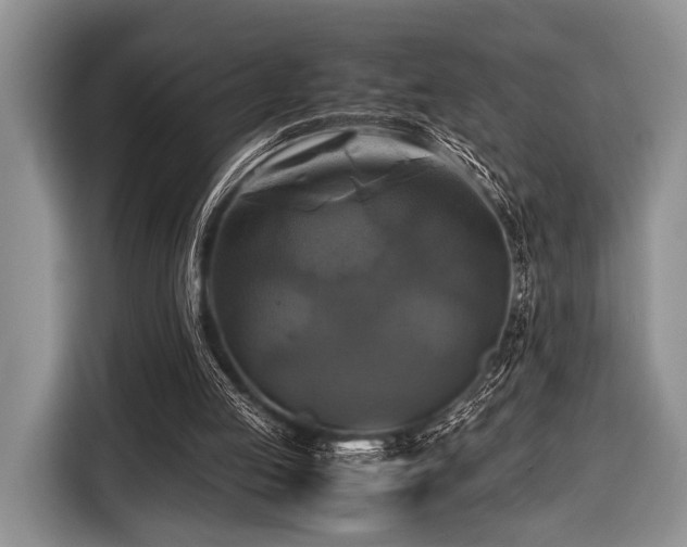 X0000116420053200912151006
