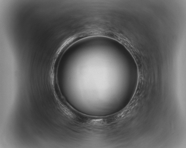 X0000116420054200912151006