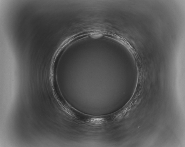 X0000116420055200912151006
