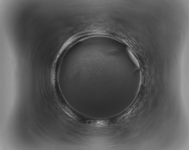 X0000116420056200912151006