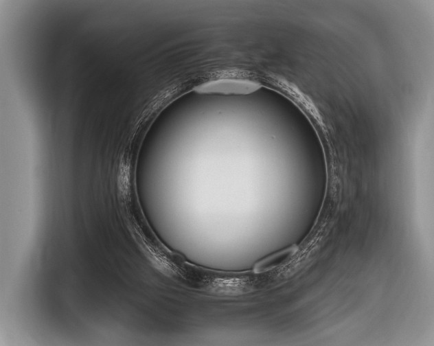 X0000116420057200912151006