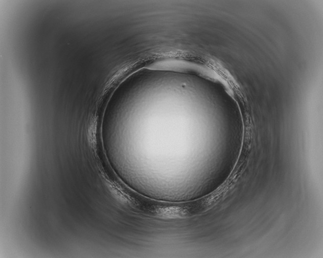 X0000116420058200912151006