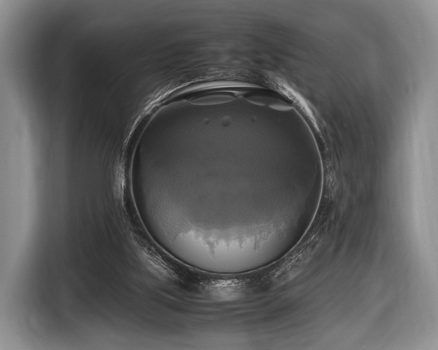 X0000116420059200912151006