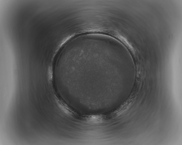 X0000116420060200912151006