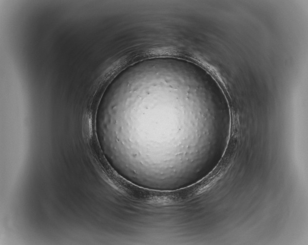 X0000116420061200912151006