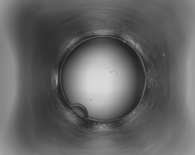 X0000116420062200912151006