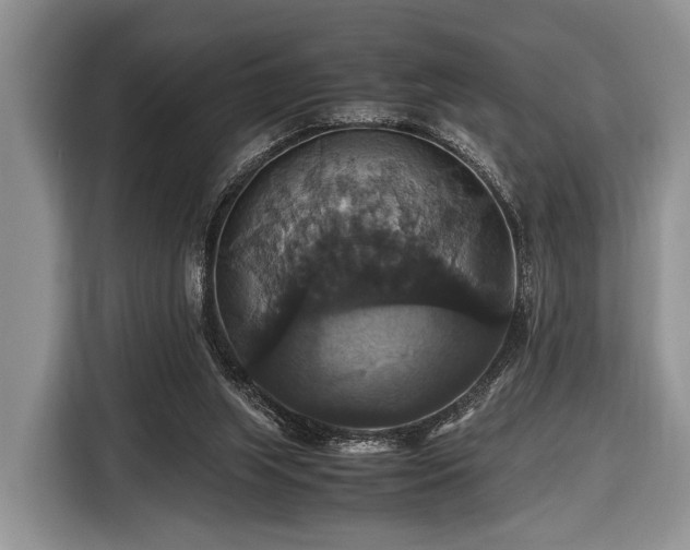 X0000116420063200912151006