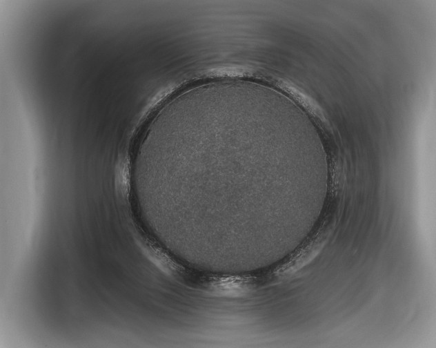X0000116420064200912151006
