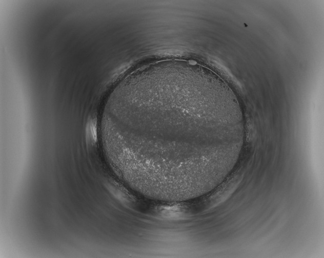 X0000116420068200912151006