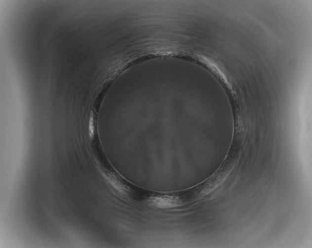X0000116420069200912151006