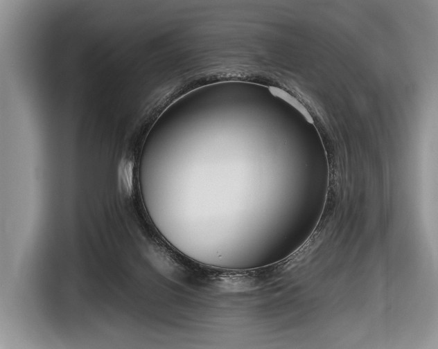 X0000116420070200912151006