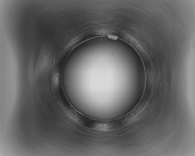 X0000116420071200912151006