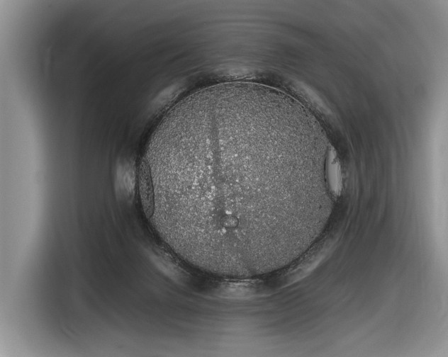 X0000116420072200912151006