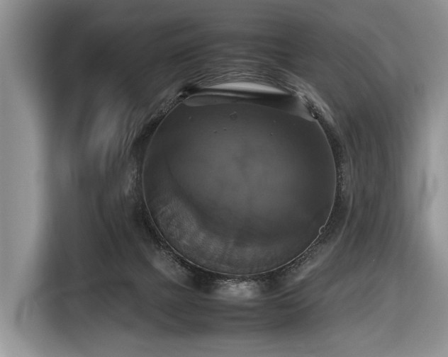 X0000116420073200912151006