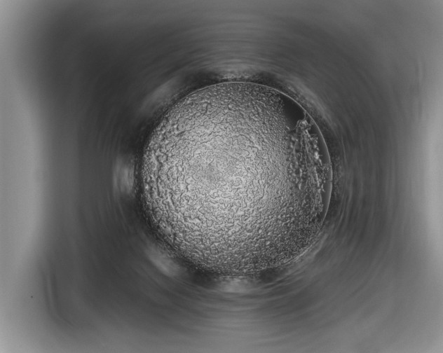 X0000116420074200912151006