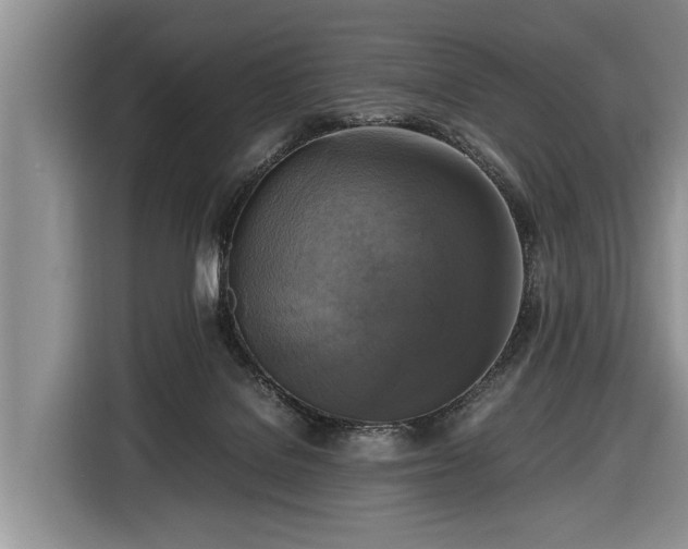 X0000116420076200912151006