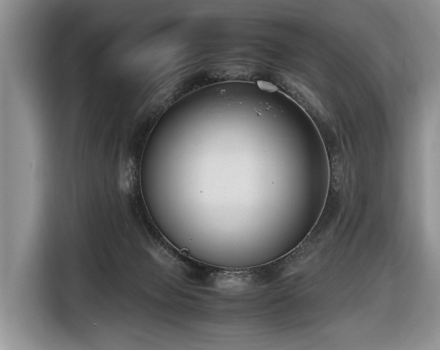 X0000116420077200912151006