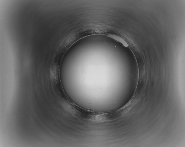 X0000116420078200912151006