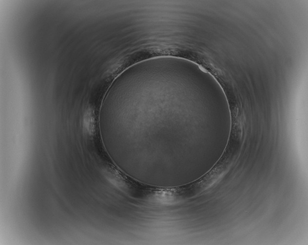 X0000116420080200912151007