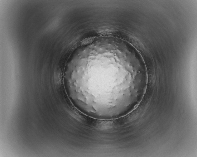 X0000116420081200912151007