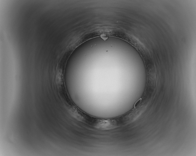 X0000116420083200912151007